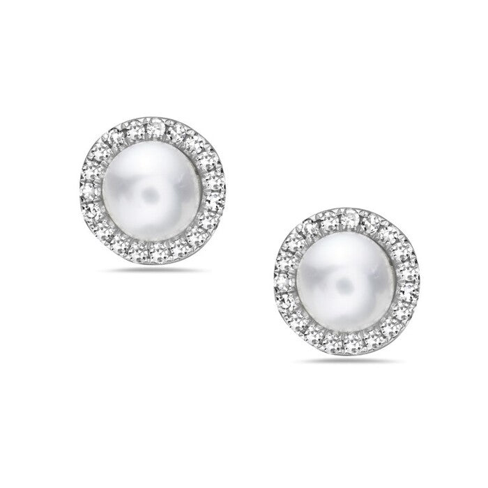 14 Karat White Gold Pearl Stud Earrings