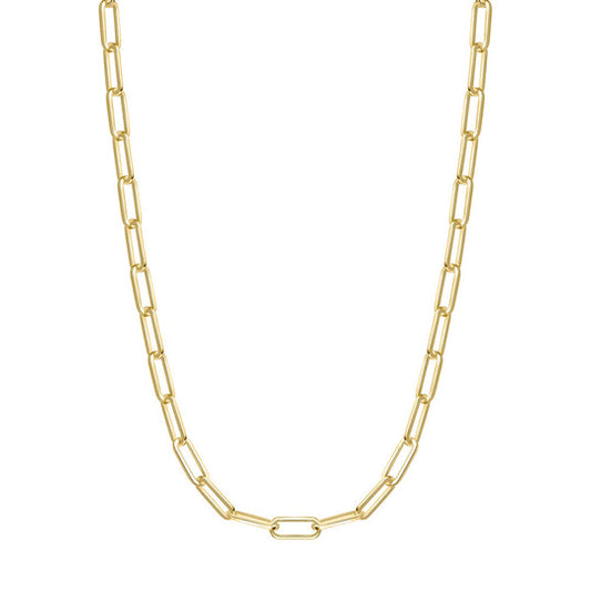 Gold Medium Chain Necklace