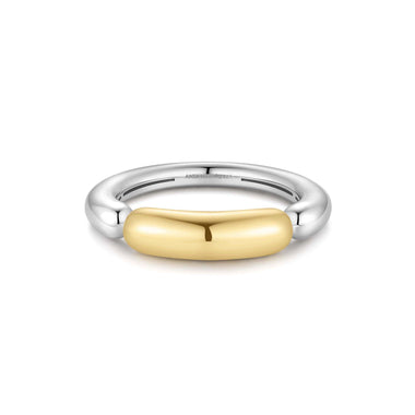 Two-Tone Segmented Puffy Ring