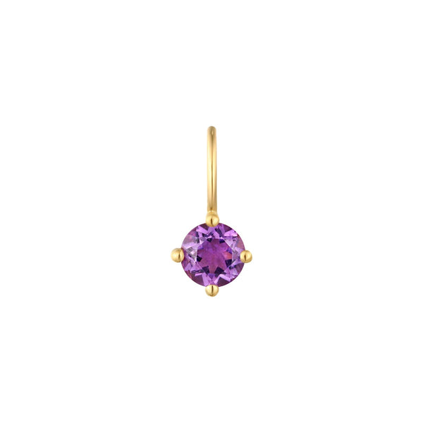 FEBRUARY | Amethyst Necklace Charm